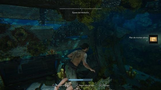 Assassin's Creed Black Flag Resynced
