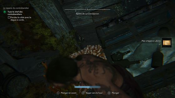 Assassin's Creed Black Flag Resynced