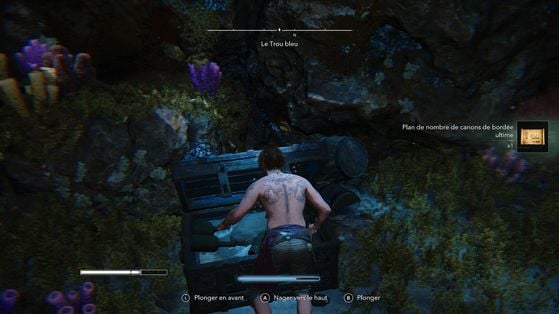 Assassin's Creed Black Flag Resynced