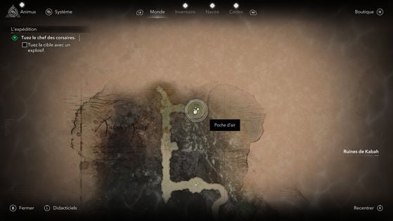 Assassin's Creed Black Flag Resynced