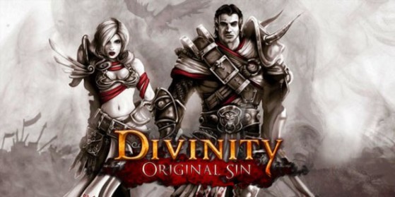 Divinity Original Sin : Alpha test