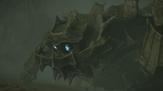 Shadow of the Colossus PS4 : Colosse 9, Basaran
