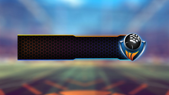 Limited Player Banner RL ESPORTS - Rocket League