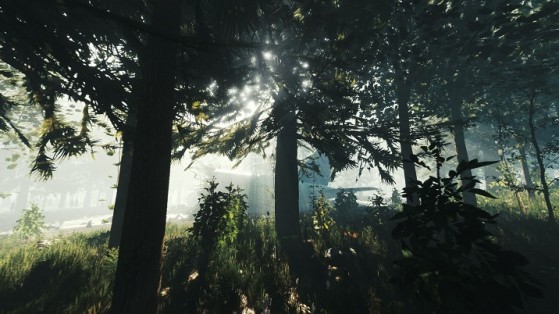 The Forest : Date de Sortie en VR
