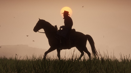 Guide Red Dead Redemption 2 : Tuberculose, soigner la tuberculose