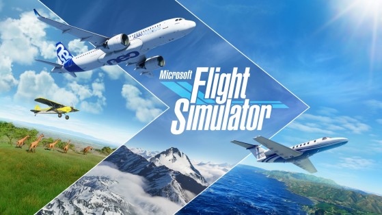 La version physique de Microsoft Flight Simulator contient 10 CD