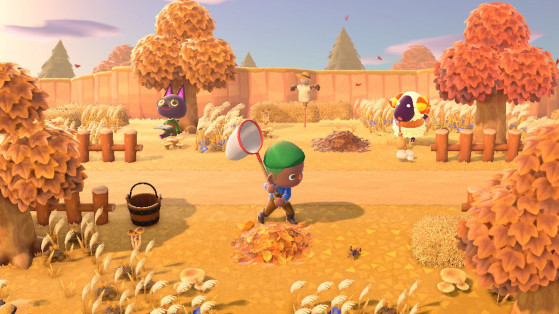 Animal Crossing New Horizons : liste des insectes de novembre de l'hémisphère nord et sud