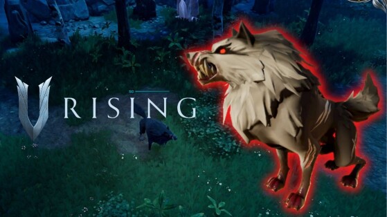 Loup Alpha V Rising : Où le trouver, comment le battre