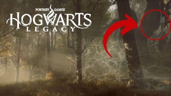 Hogwarts Legacy : Une découverte bien glauque dans la dernière vidéo !