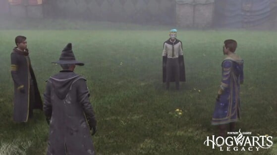 Multijoueur Hogwarts Legacy : Comment jouer à plusieurs grâce à un mod ?