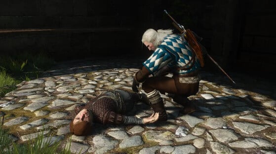 The Witcher 3 : Wild Hunt