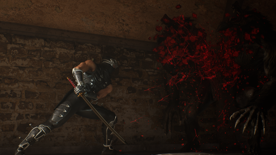 Jeu : Ninja Gaiden 2 Black - Ninja Gaiden 2 Black