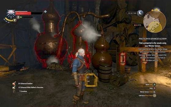 The Witcher 3 : Wild Hunt