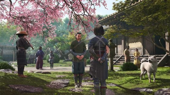 Assassin's Creed Shadows : Traque sur Awaji, New Game Plus, quêtes gratuites... La roadmap du jeu se dévoile enfin