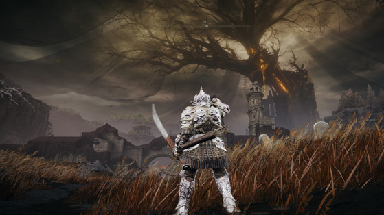 La version Nintendo Switch 2 du jeu Elden Ring aura du nouveau contenu encore jamais vu en plus du DLC Shadow of the Erdtree