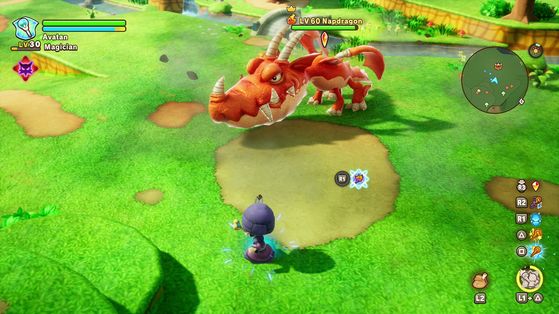 Fantasy Life i La Voleuse de Temps