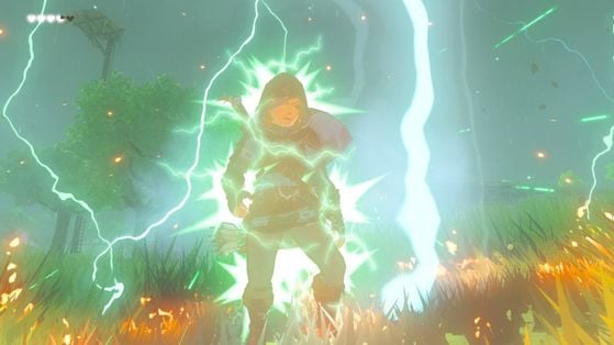 Zelda : Breath of the Wild