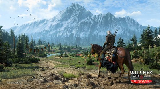 The Witcher 3 : Wild Hunt