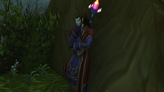 Elfe du Vide (homme) - World of Warcraft