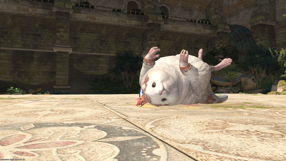 Final Fantasy XIV
