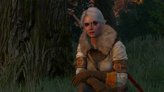 The Witcher 3 : Wild Hunt
