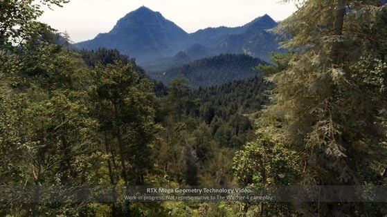 The Witcher 4