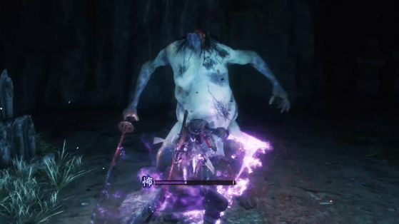 Sekiro : Shadows Die Twice