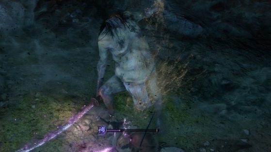 Sekiro : Shadows Die Twice