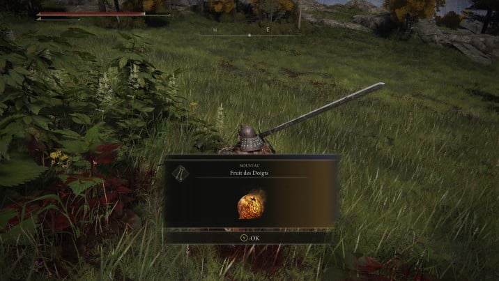 D Celui Qui Sourit Devant La Mort Elden Ring