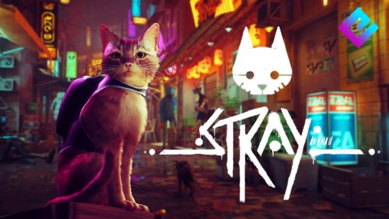 Stray : Même les chats de la vie réelle valident le jeu !