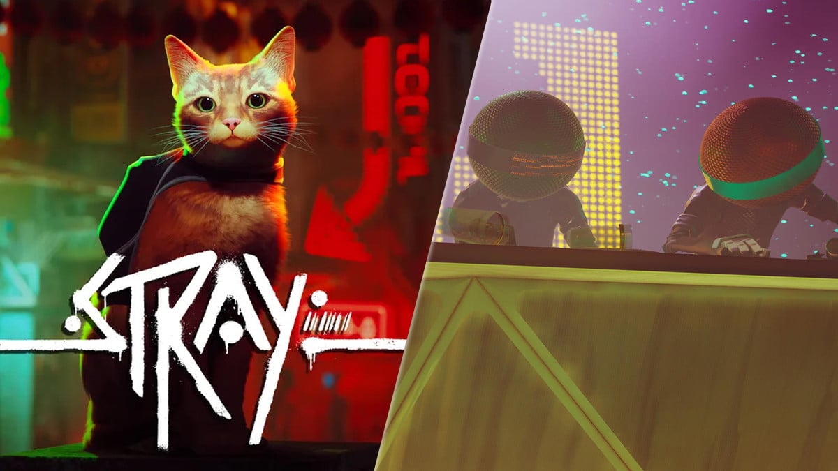 Scratch Stray comment réussir ce succès ? Millenium