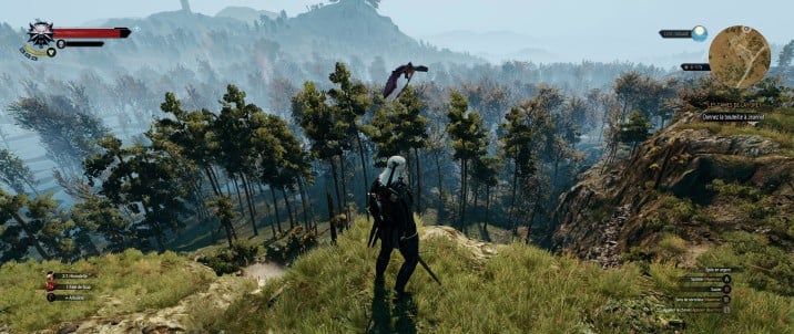 Comment Activer La Quete Les Dames De La Foret Les Dames de la forêt The Witcher 3 : Faut-il libérer ou tuer l'esprit