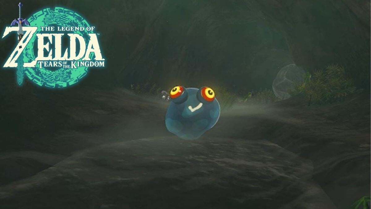 Un modèle de chuchu Zelda Tears of the Kingdom : Où trouver le chuchu bleu  pour la mission de la teinturerie ? - Millenium