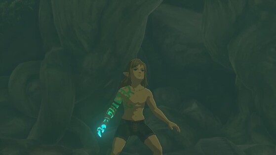 Zelda Tears of the Kingdom : 'Cela m'a fait trop rire', Link devient une star du catch grâce à ce joueur