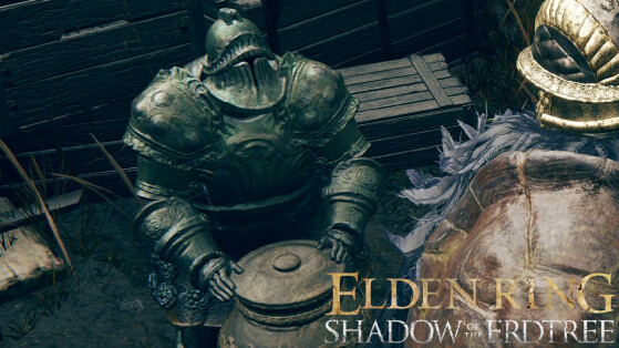 Moore Elden Ring Shadow of the Erdtree : faut-il tourner la page ou rester triste ?
