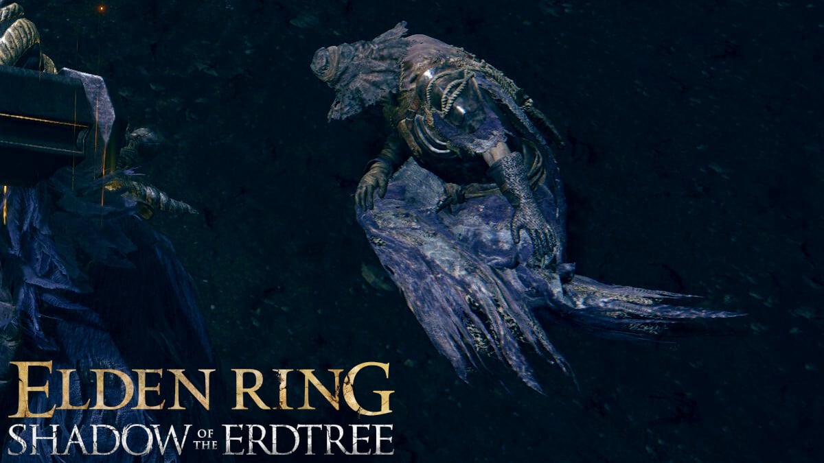 Igon Elden Ring Shadow of the Erdtree : Que faut-il faire pour faire ...