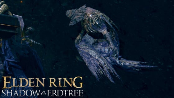 Igon Elden Ring Shadow of the Erdtree : Que faut-il faire pour faire progresser sa quête ?