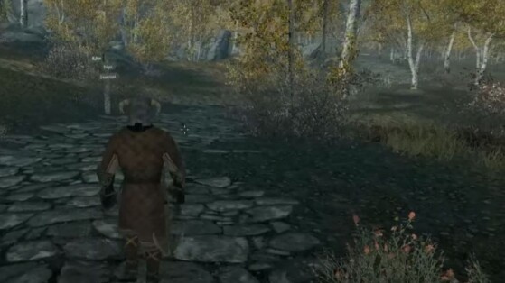 Ce fan absolu de Skyrim a marché plus de 14 000 pas dans la vie réelle pour parcourir la totalité de la carte du jeu