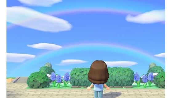 Animal Crossing New Horizons