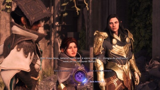 Dragon Age: The Veilguard