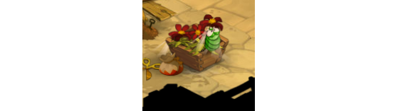 Dofus