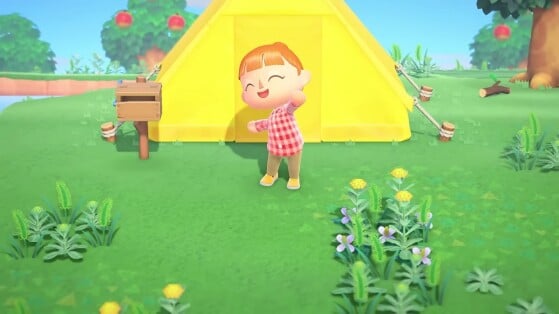 Animal Crossing New Horizons : Saviez-vous que vous pouviez personnaliser ces objets ? Parce que nous non...