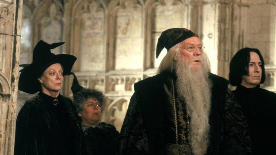 C'est officiel ! On sait qui joueront ces 6 personnages dans la série Harry Potter de HBO