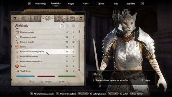 The Elder Scrolls IV : Oblivion Remastered