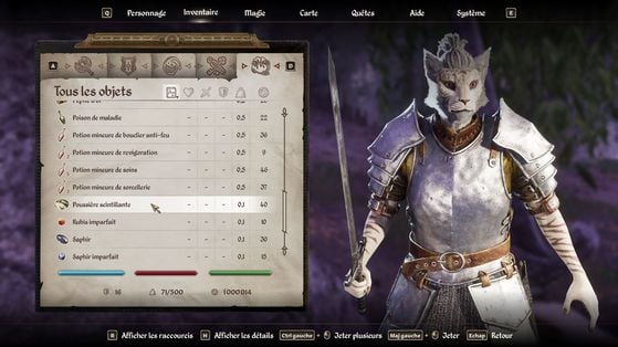 The Elder Scrolls IV : Oblivion Remastered