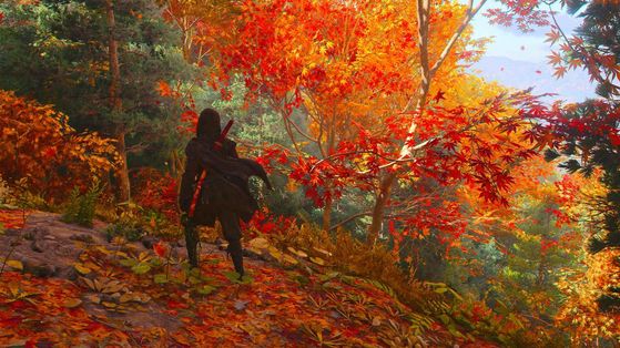 Et si Assassin's Creed Shadows devenait bientôt un jeu multijoueur ?