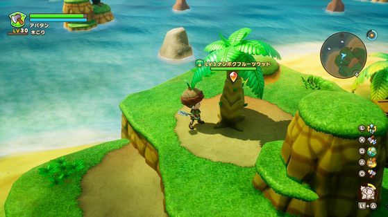 Fantasy Life i La Voleuse de Temps