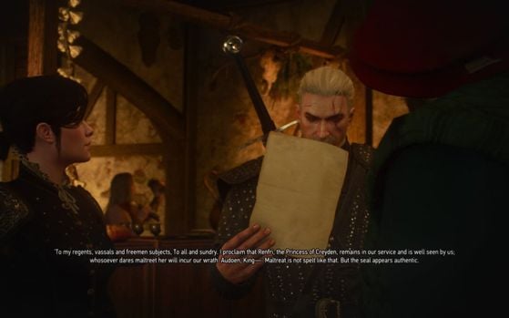 The Witcher 3 : Wild Hunt