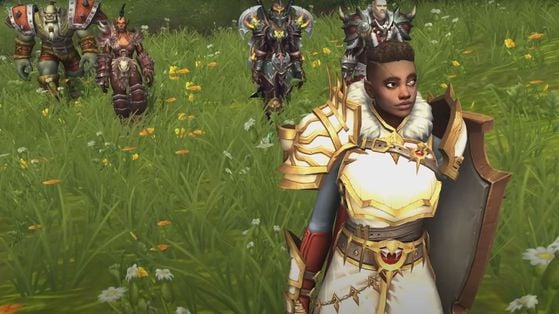 Ce joueur de WoW trouve un trésor volé et fait tout pour retrouver son propriétaire à l'aide des autres fans du MMO