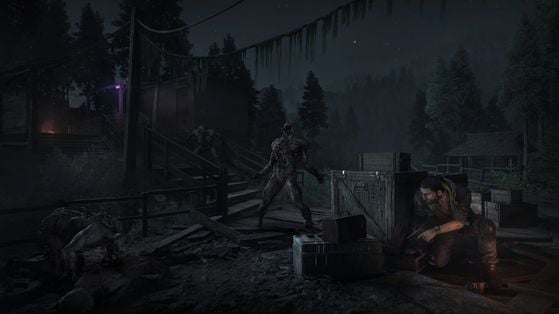 Dying Light: The Beast